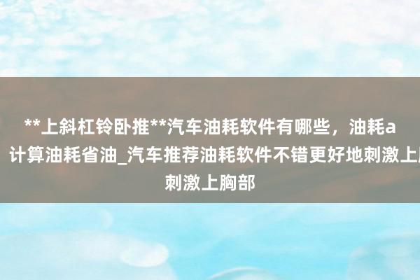 **上斜杠铃卧推**汽车油耗软件有哪些，油耗app，计算油耗省油_汽车推荐油耗软件不错更好地刺激上胸部